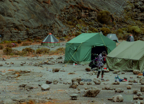 2 Days Tanzania Group Joining Adventure Camping Safari