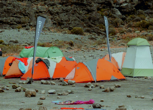 5 Days Tanzania Adventure Camping Safari