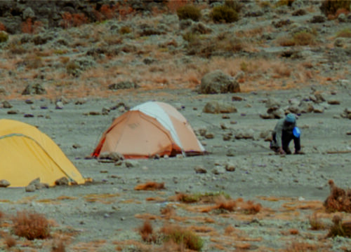 6 Days Tanzania Adventure Camping Safari