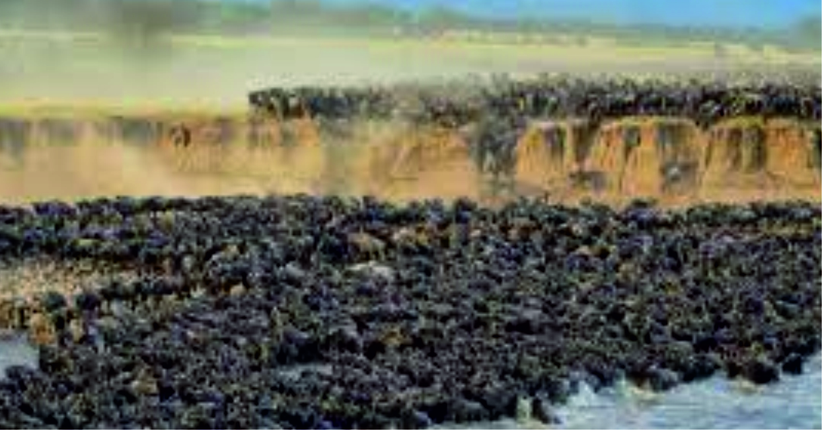 9 Days Fly-In Classic Family Migration Safari With Zanzibar Extension All Inclusive-