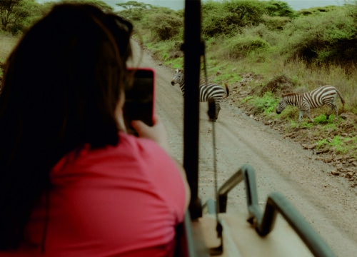 4 Days Luxury Tanzania Safari