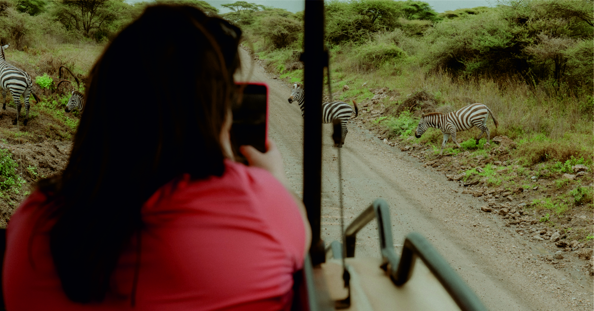 Tailor-Made Safari Experiences