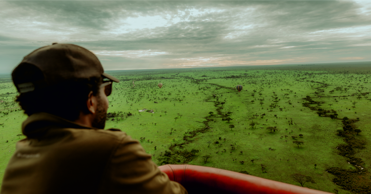 Guided Safari Experiences