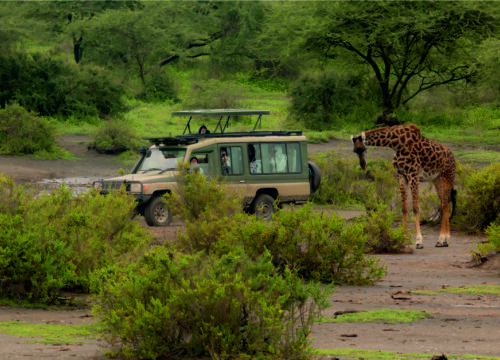 10 Days Luxury Tanzania Safari