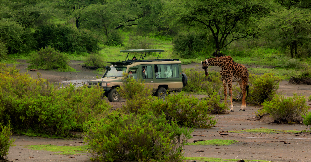 10 Days Luxury Tanzania Safari