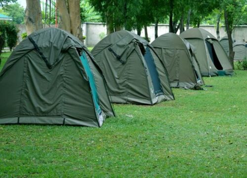 7 Days Tanzania Group Joining Adventure Camping Safari